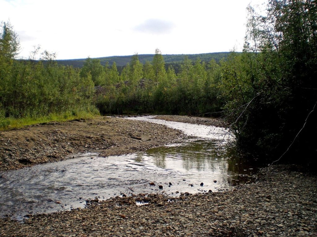 Discovery Claim on Bonanza Creek, photographed in August 2009; the site today, not an 1896 image.