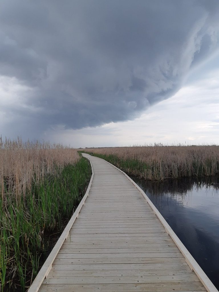Marsh Boardwalk, Point Pelee National Park.