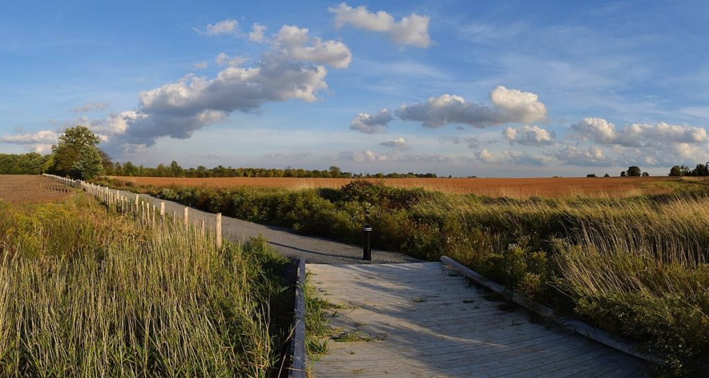 A trail in Rouge National Urban Park.