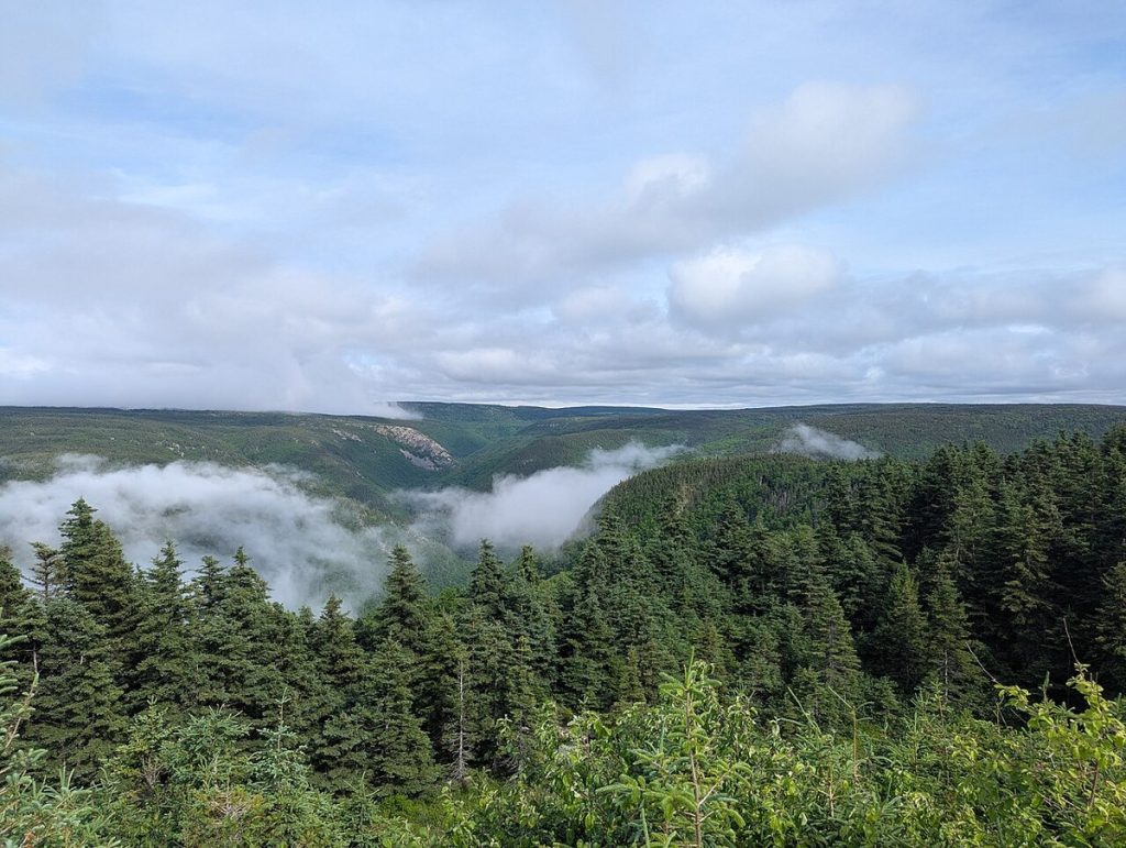 Cape Breton Highlands National Park from the Cabot Trail.