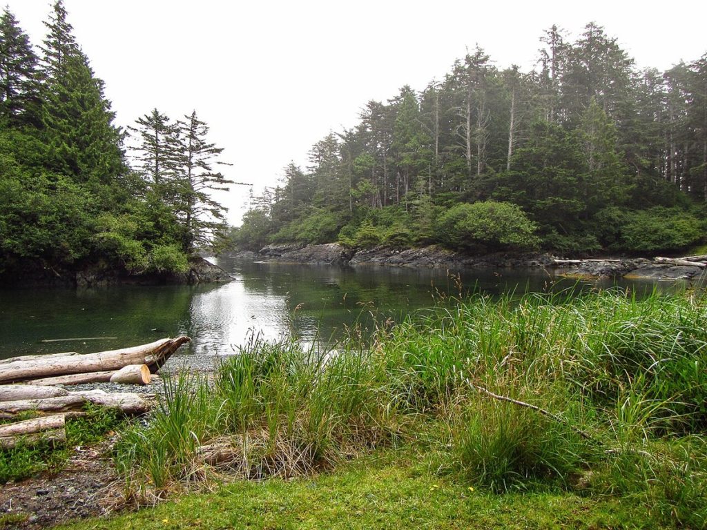 A wooded coastal view at SG̱ang Gwaay Llnagaay, photographed in 2016; the photograph does not show the village’s poles.