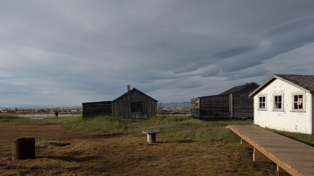 Pauline Cove on Qikiqtaruk (Herschel Island), Yukon, photographed in 2025.