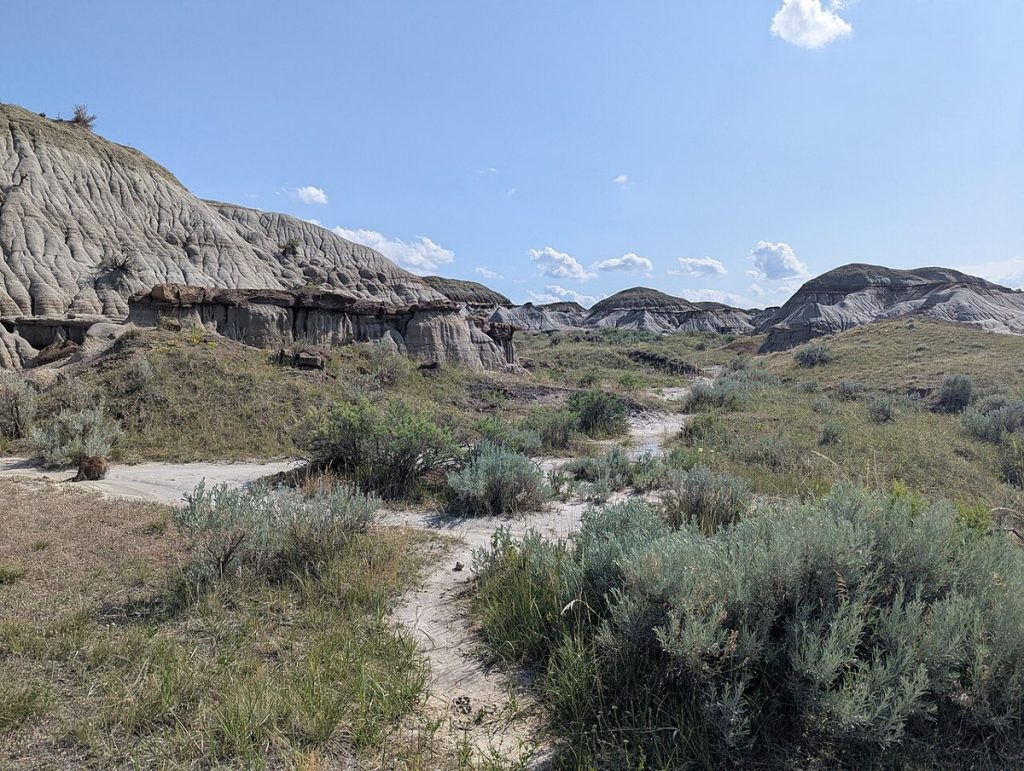 The badlands of Dinosaur Provincial Park, Alberta, photographed in 2025.