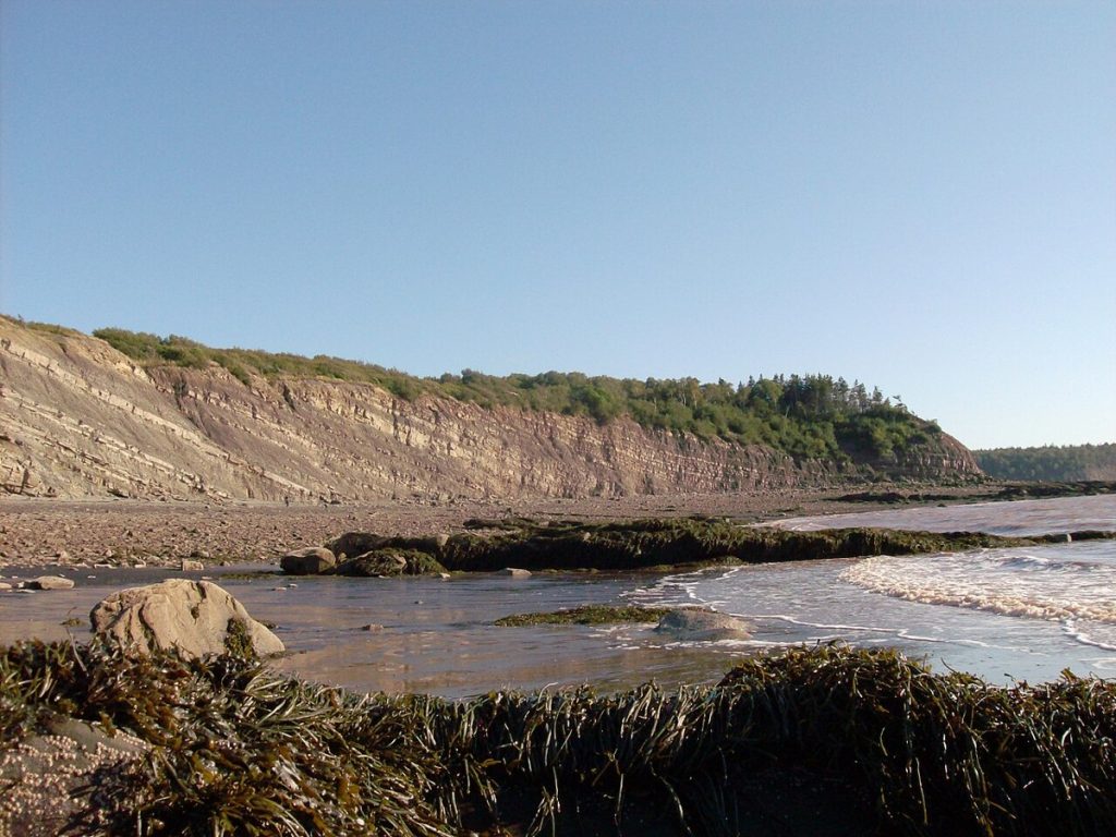 The Joggins Fossil Cliffs near Joggins, Nova Scotia, photographed in 2010.