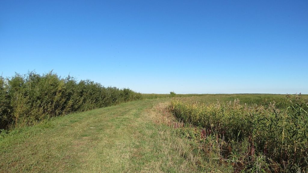 Oak Hammock Marsh near Stonewall, Manitoba, where the designation’s plaque stands, photographed in 2013.