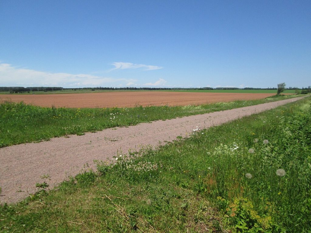 The Confederation Trail, on the former railway roadbed, at Freetown, Prince Edward Island, in 2017.