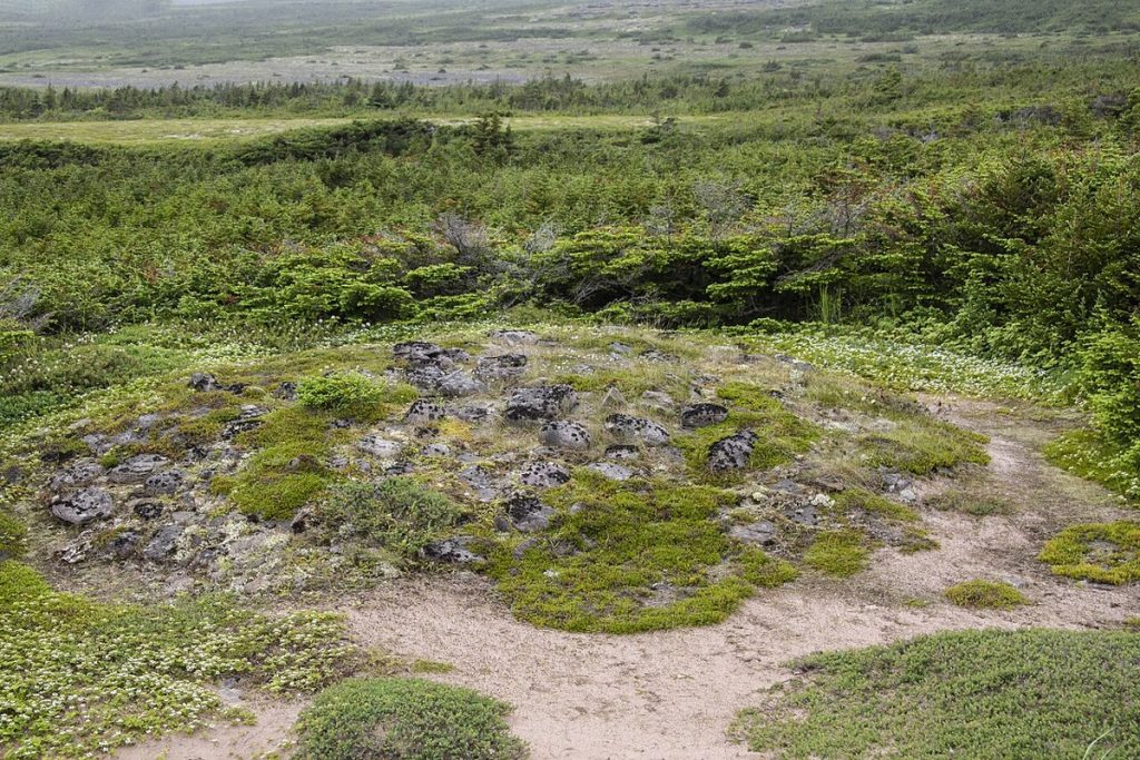 The burial mound at L’Anse Amour, Labrador, photographed in 2012.