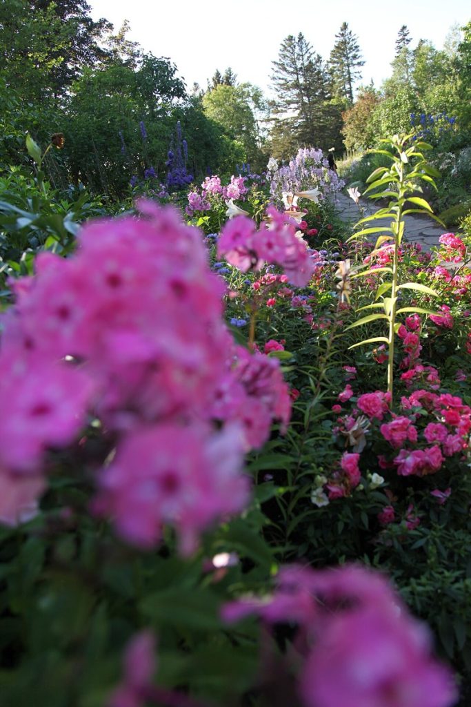 Flower beds and a path at the Jardins de Métis (Reford Gardens), Quebec, photographed in 2015.