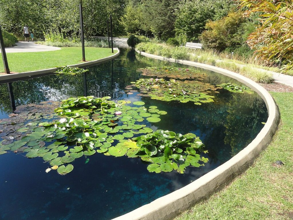 The Rock Garden pond at the Royal Botanical Gardens, Hamilton, Ontario, in 2024.